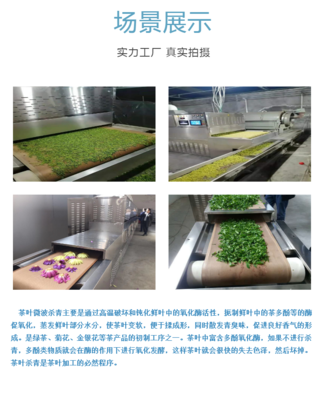 微波烘干技術賦能花卉產業 高效殺青與廣泛應用的干燥新方案